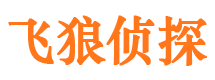 隆化市私家侦探